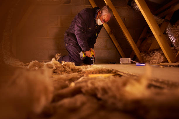 Best Commercial Insulation in Gainesville, TX